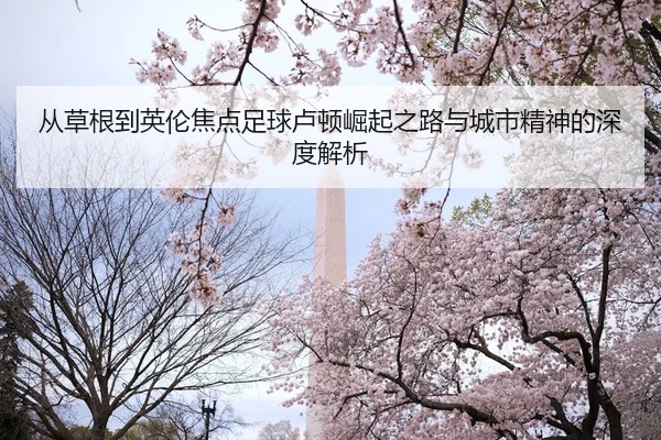 cong-cao-gen-dao-ying-lun-jiao-dian-zu-qiu-lu-dun-jue-qi-zhi-lu-yu-cheng-shi-jing-shen-de-shen-du-jie-xi-2-255.jpg